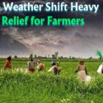 Heavy Rainfall Predicted: A Much-Needed Relief for Farmers Amidst Harsh Weather Conditions